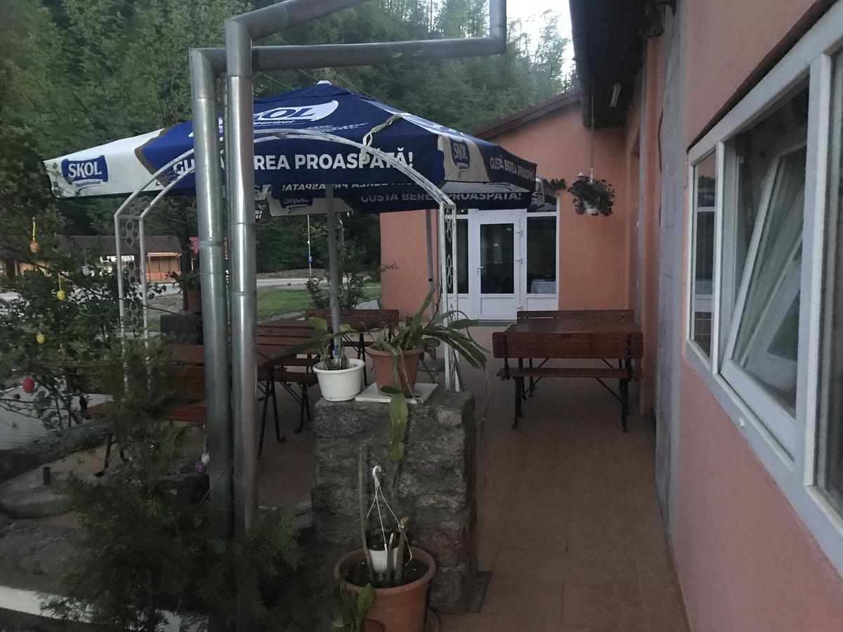 Hotel Vila Tanamera Moneasa Exterior foto